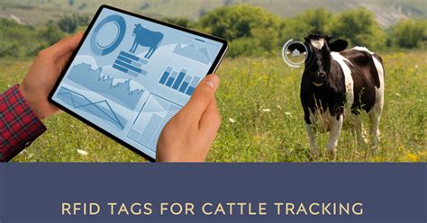 livestock rf tags|rfid tags for ranchers.